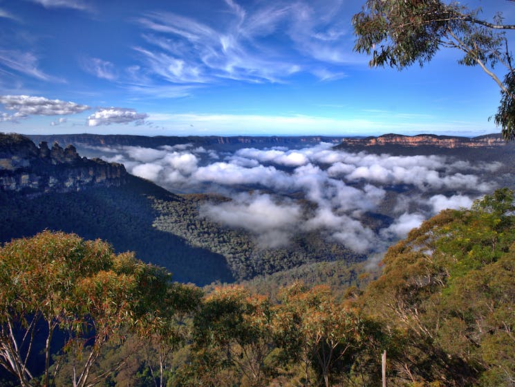 Jamison Valley, The Three Sisters, Blue Mountains National Park, Blue Mountains Eco Tours