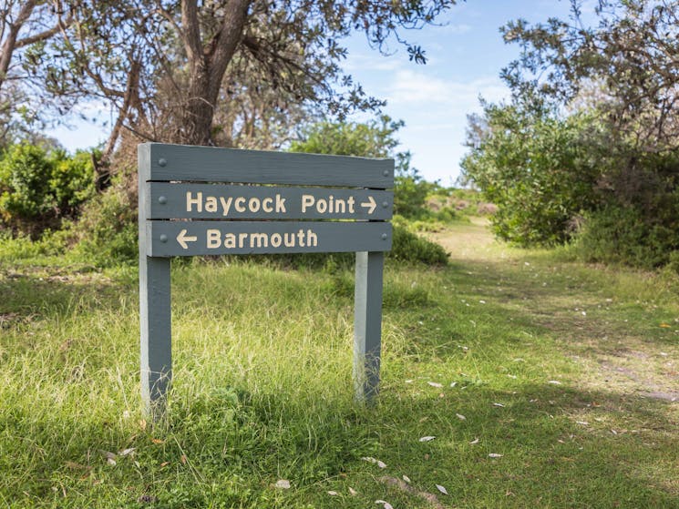 Haycock Point, Ben Boyd National Park, Walks, Sapphire Coast, NSW, South Coast