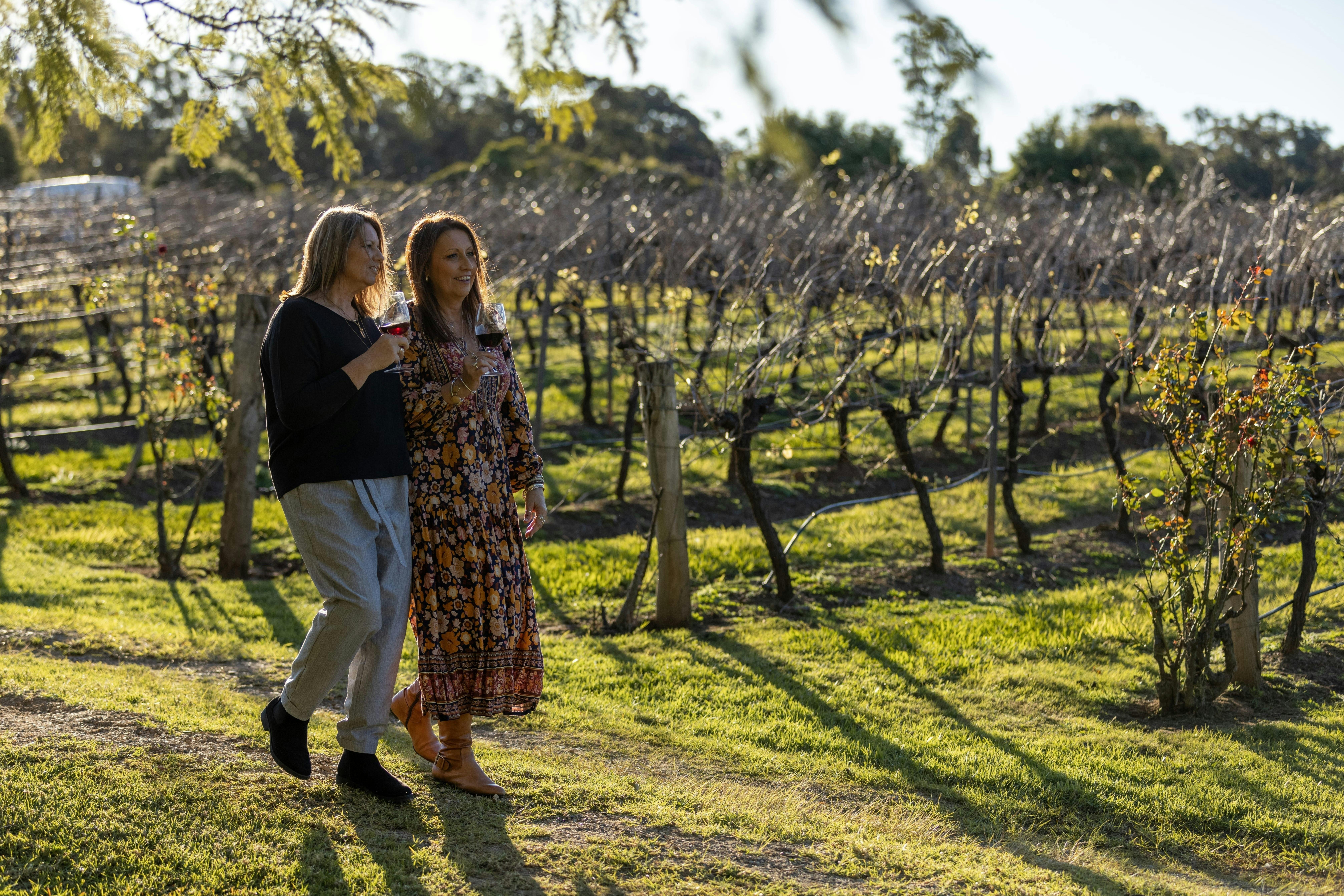 Hunter Valley - Vineyards & Estate in Pokolbin