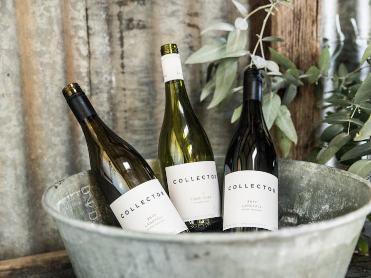 Three bottles of wine chill in a rustic bucket against a corrugated iron wall.