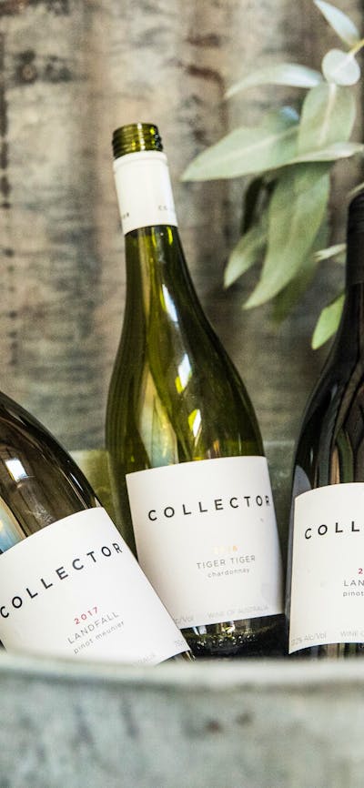 Three bottles of wine chill in a rustic bucket against a corrugated iron wall.