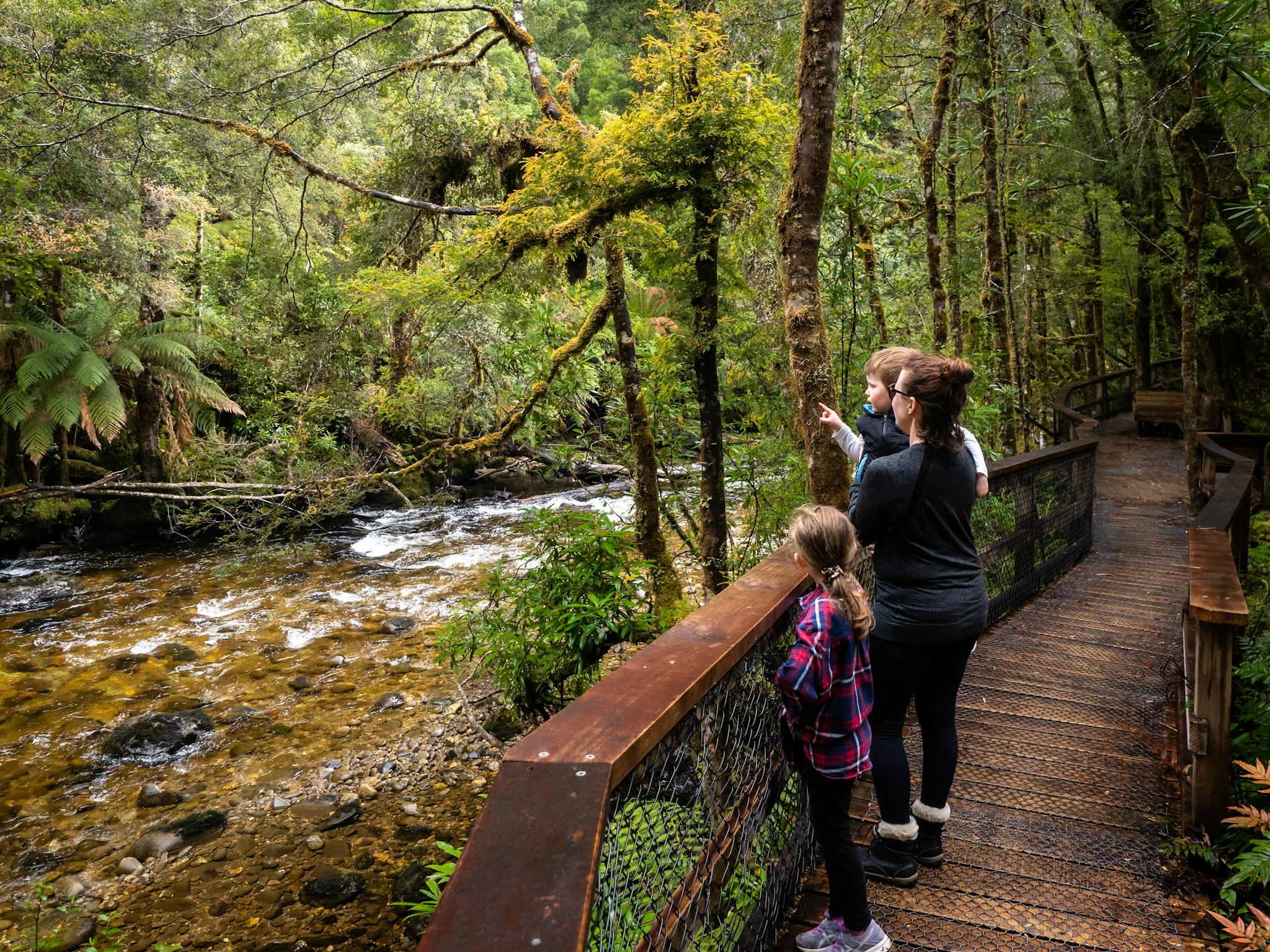 Franklin-Gordon Wild Rivers National Park