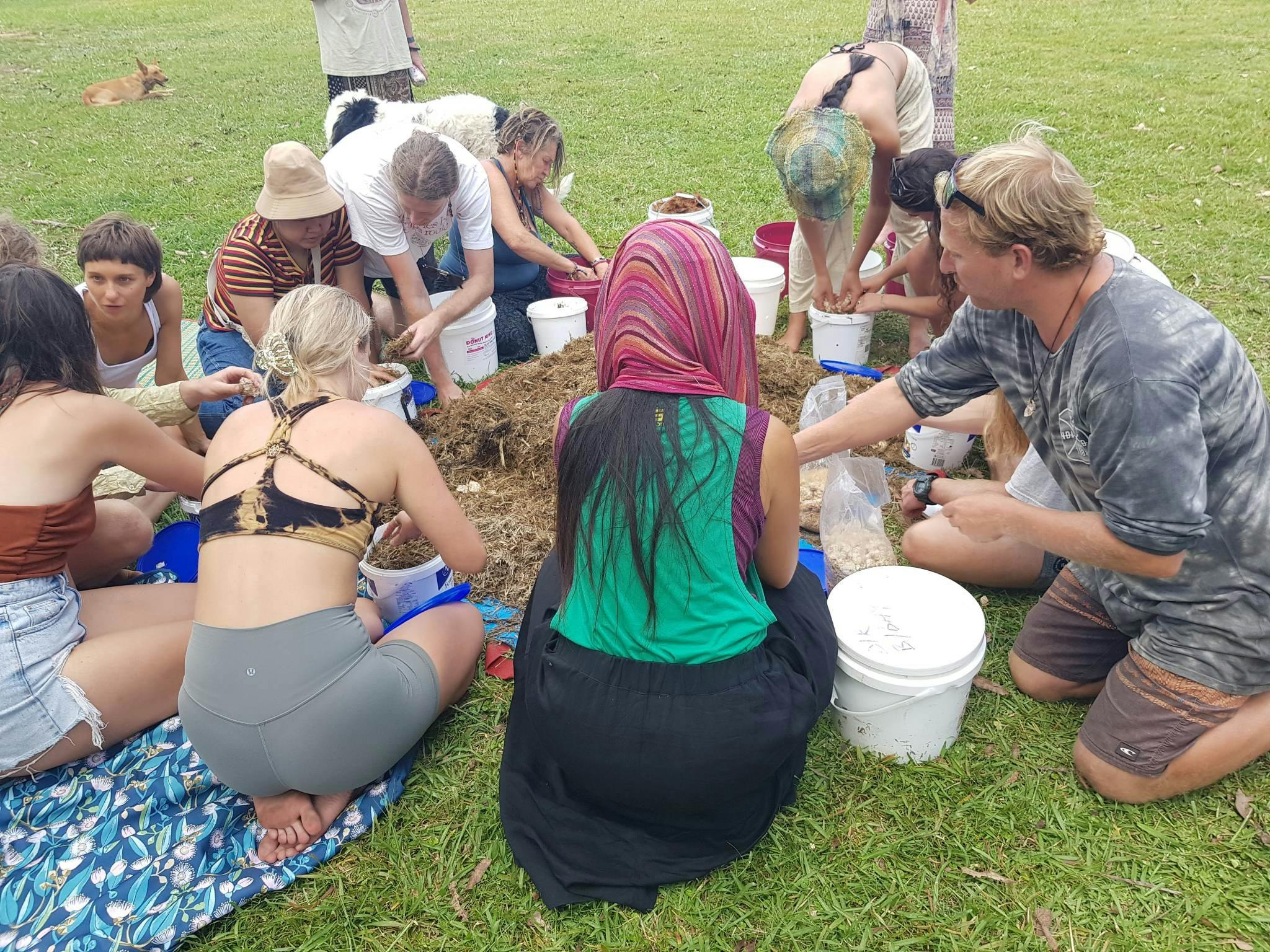 Fungi Feastival - Bega