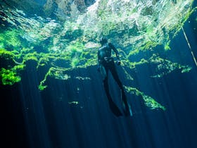 Cyrstal Clear limestone filtered water in an Ancient Sinkhole.
