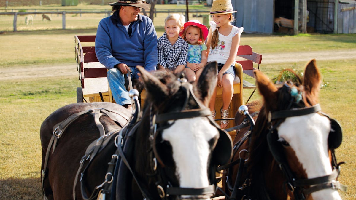 Horse ride, Jondaryan