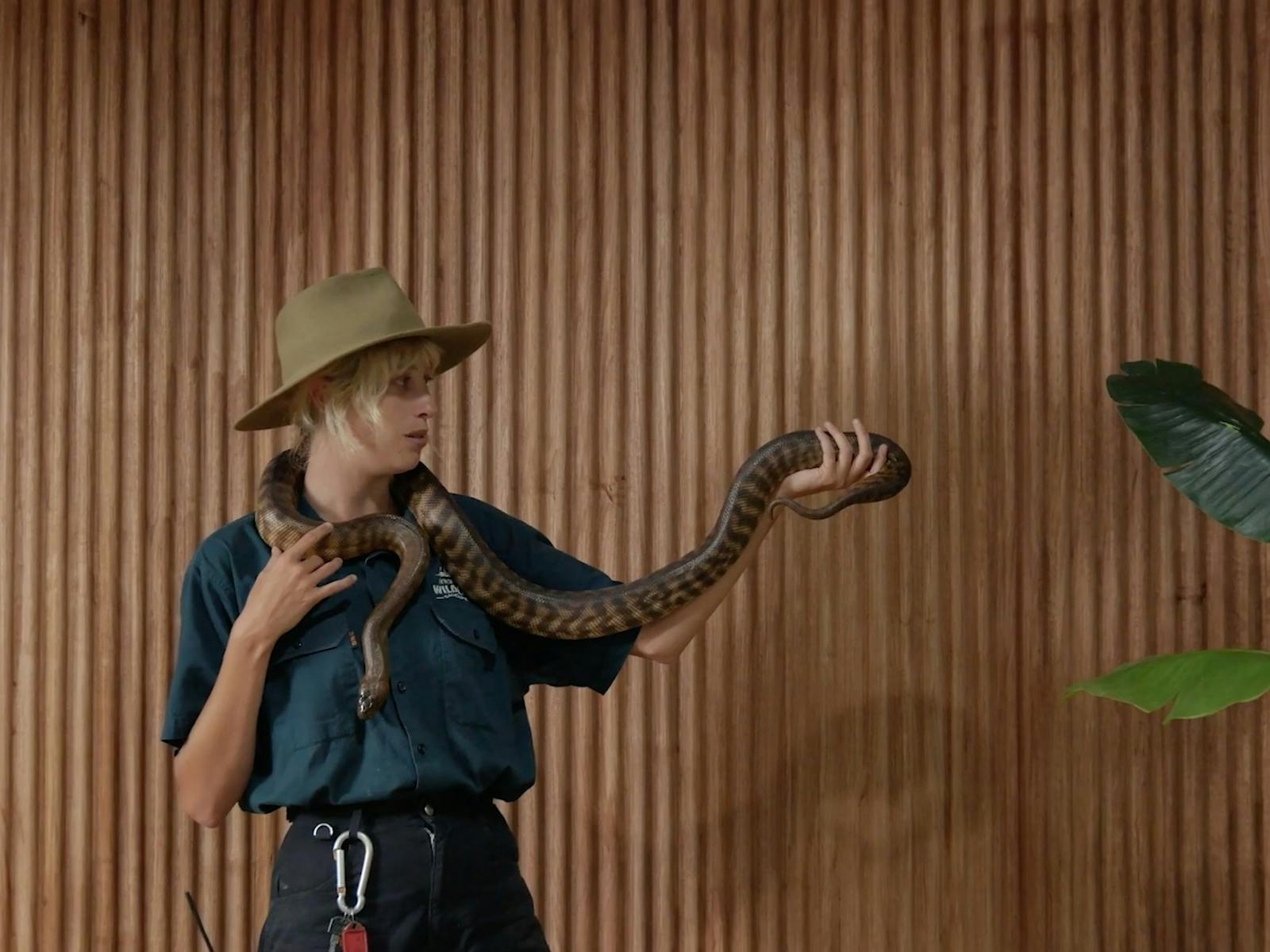 Byron Bay Wildlife Sanctuary Education in the Dirawong Conference Room.