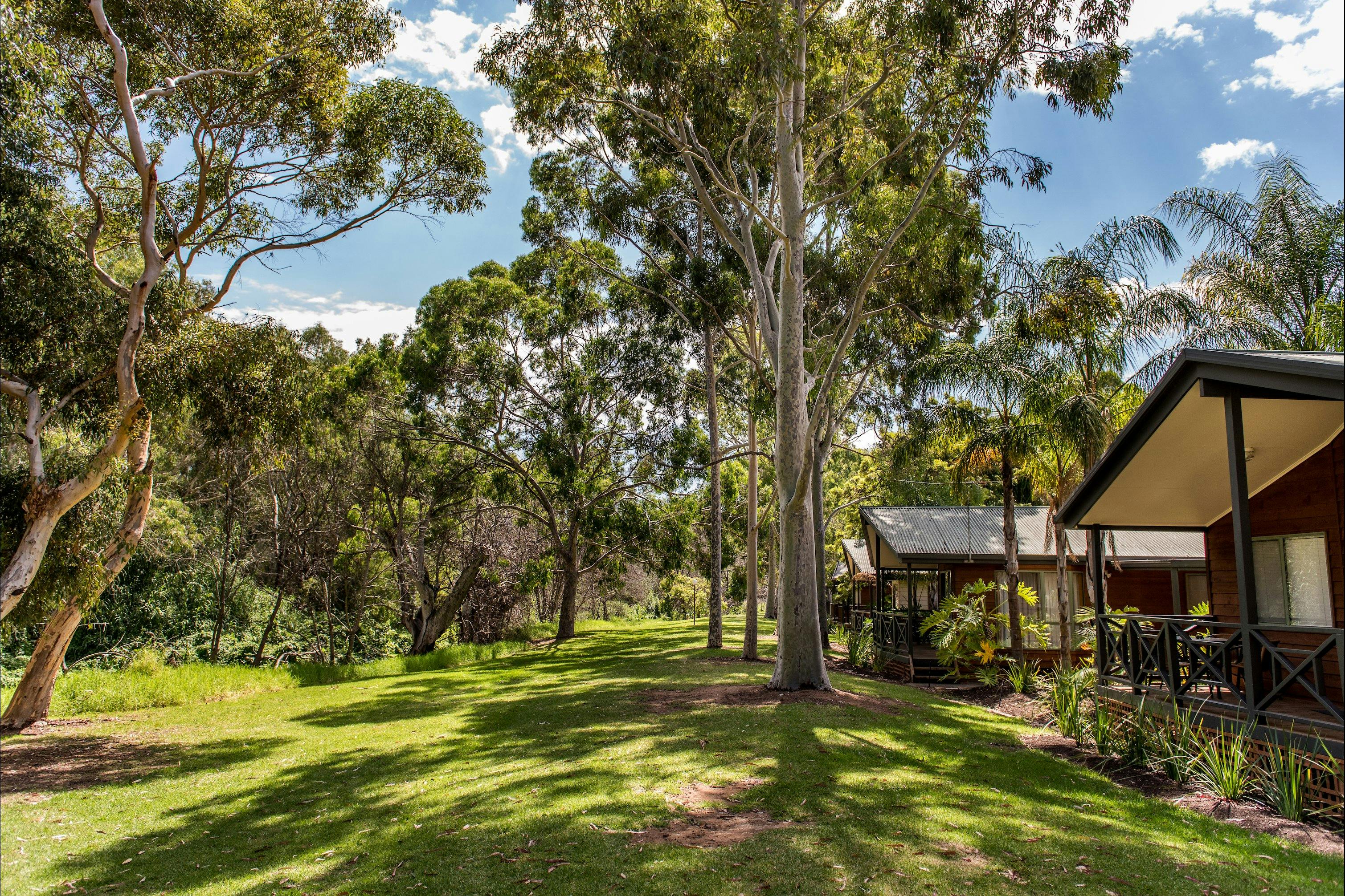 Serene creek setting for that peaceful getaway