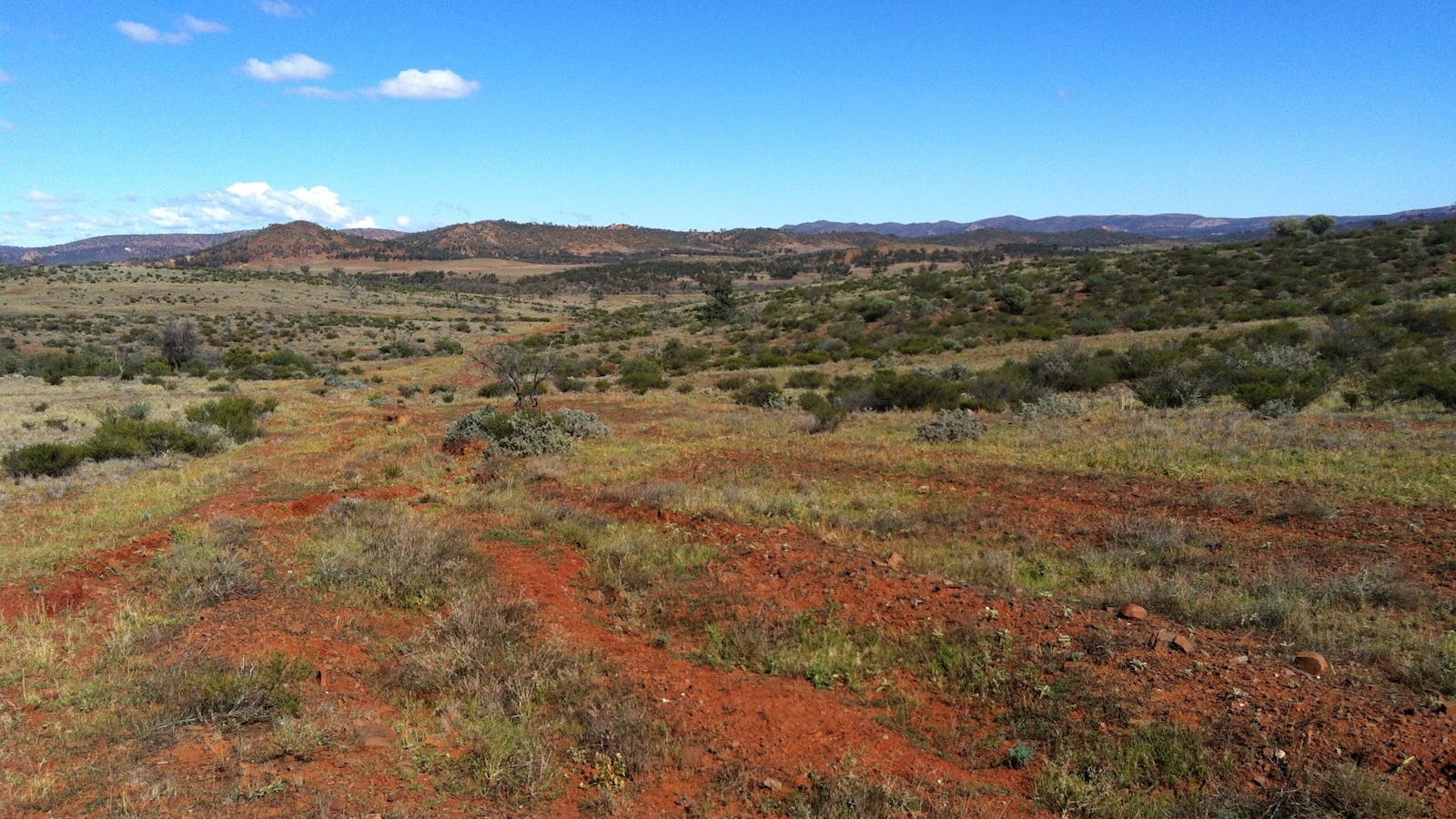Australian Walking Holidays