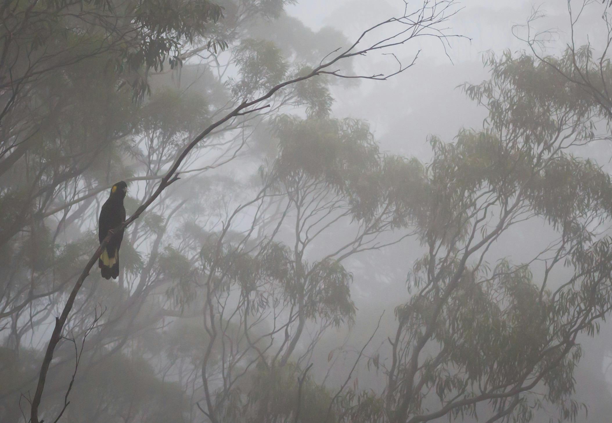 Douglas-Apsley National Park