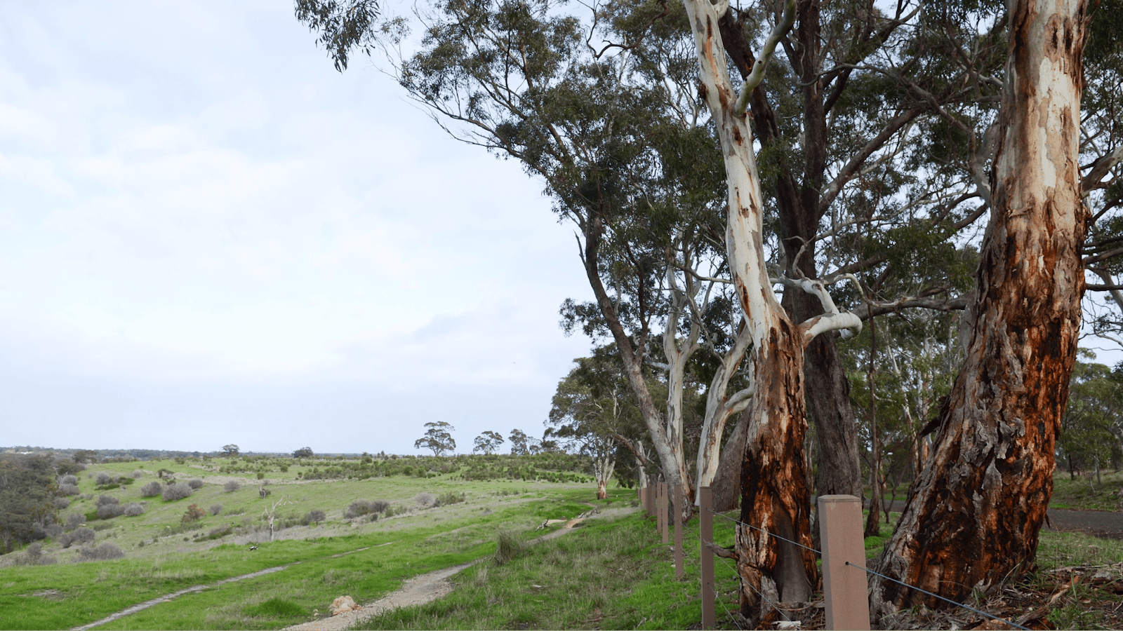 Sturt Gorge Recreation Park
