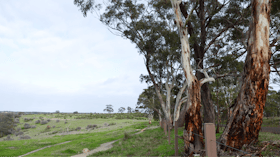 Sturt Gorge Recreation Park