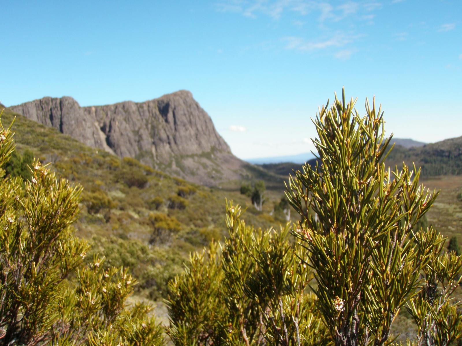 Walls of Jerusalem National Park