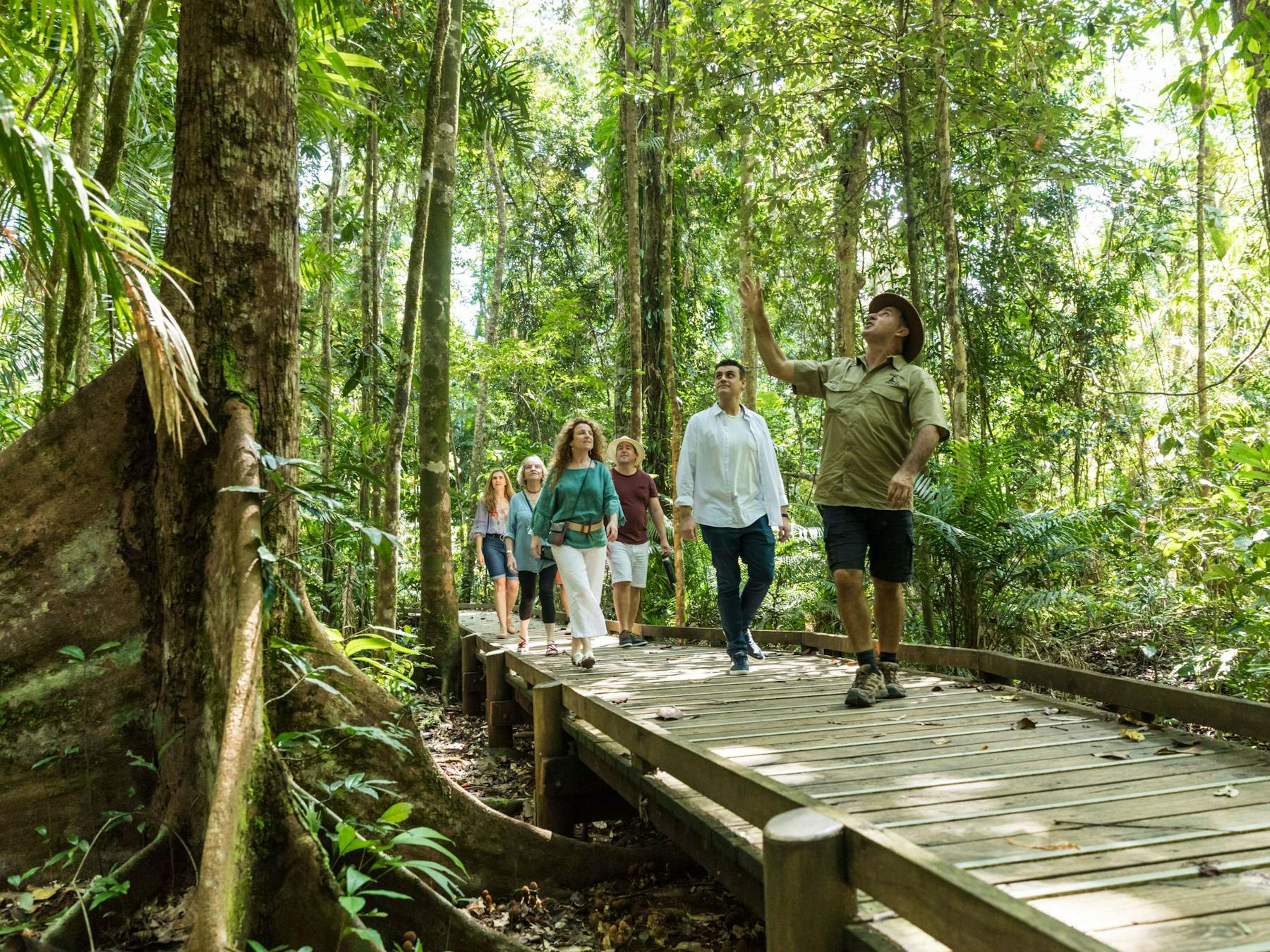 Billy Tea Safaris Guided Rainforest Boardwalk Tour