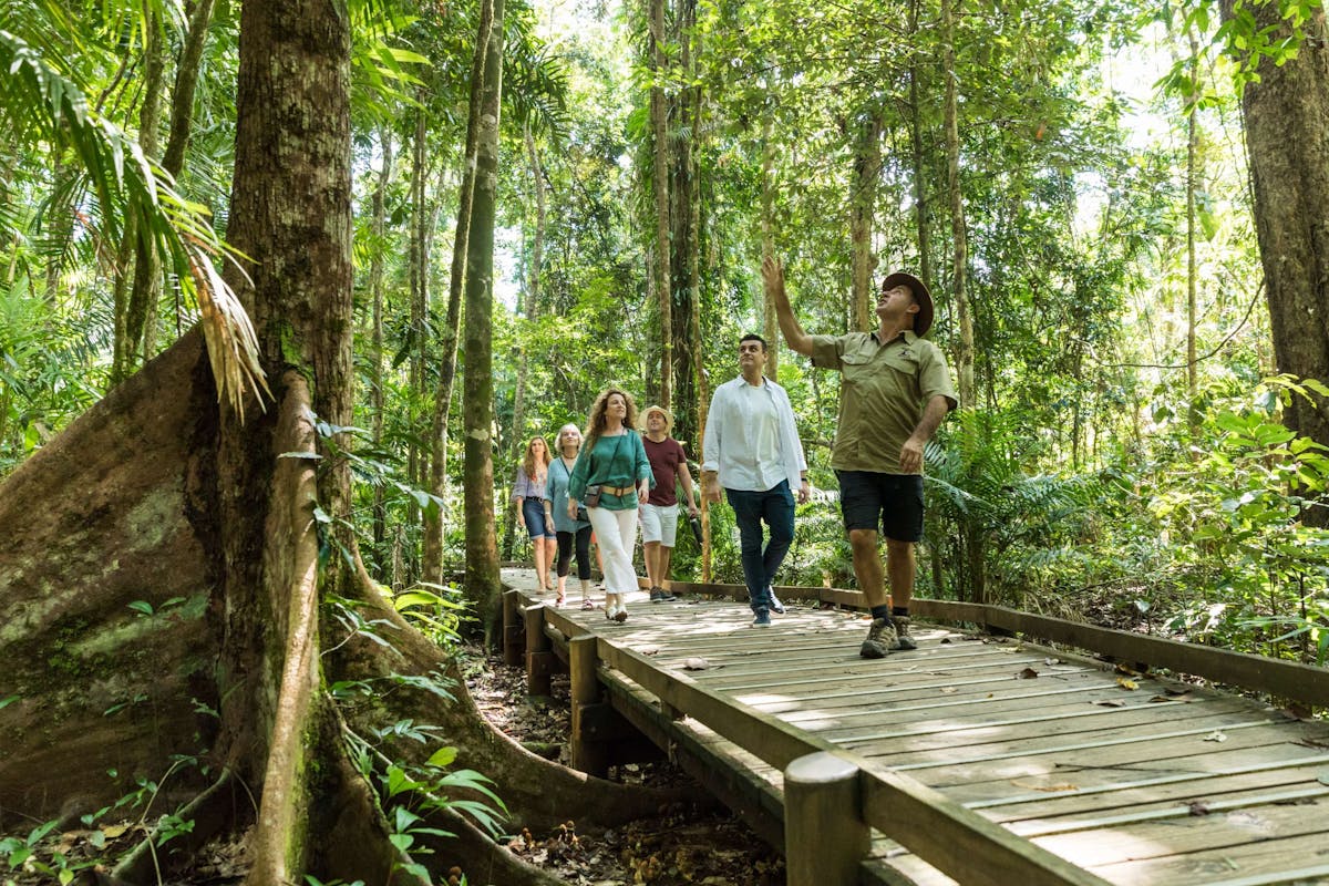 Billy Tea Safaris Guided Rainforest Boardwalk Tour