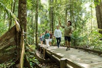 Billy Tea Safaris Guided Rainforest Boardwalk Tour