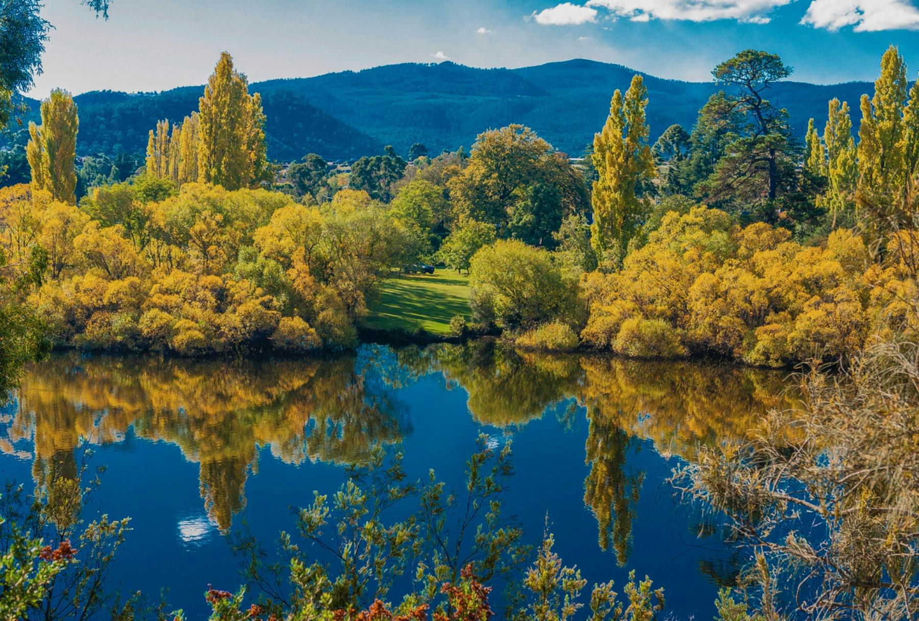 Tasmanian Autumn Festival