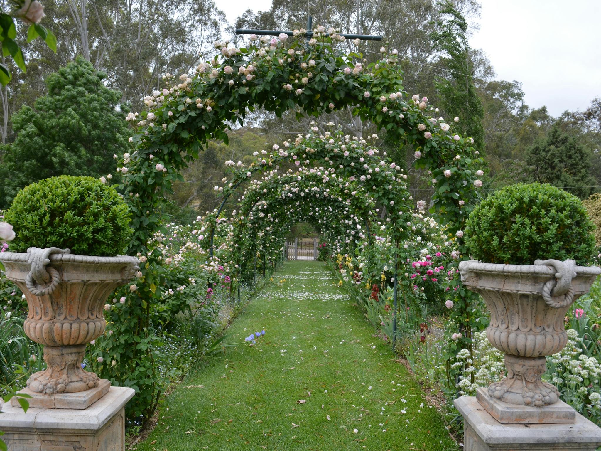 The wedding entrance