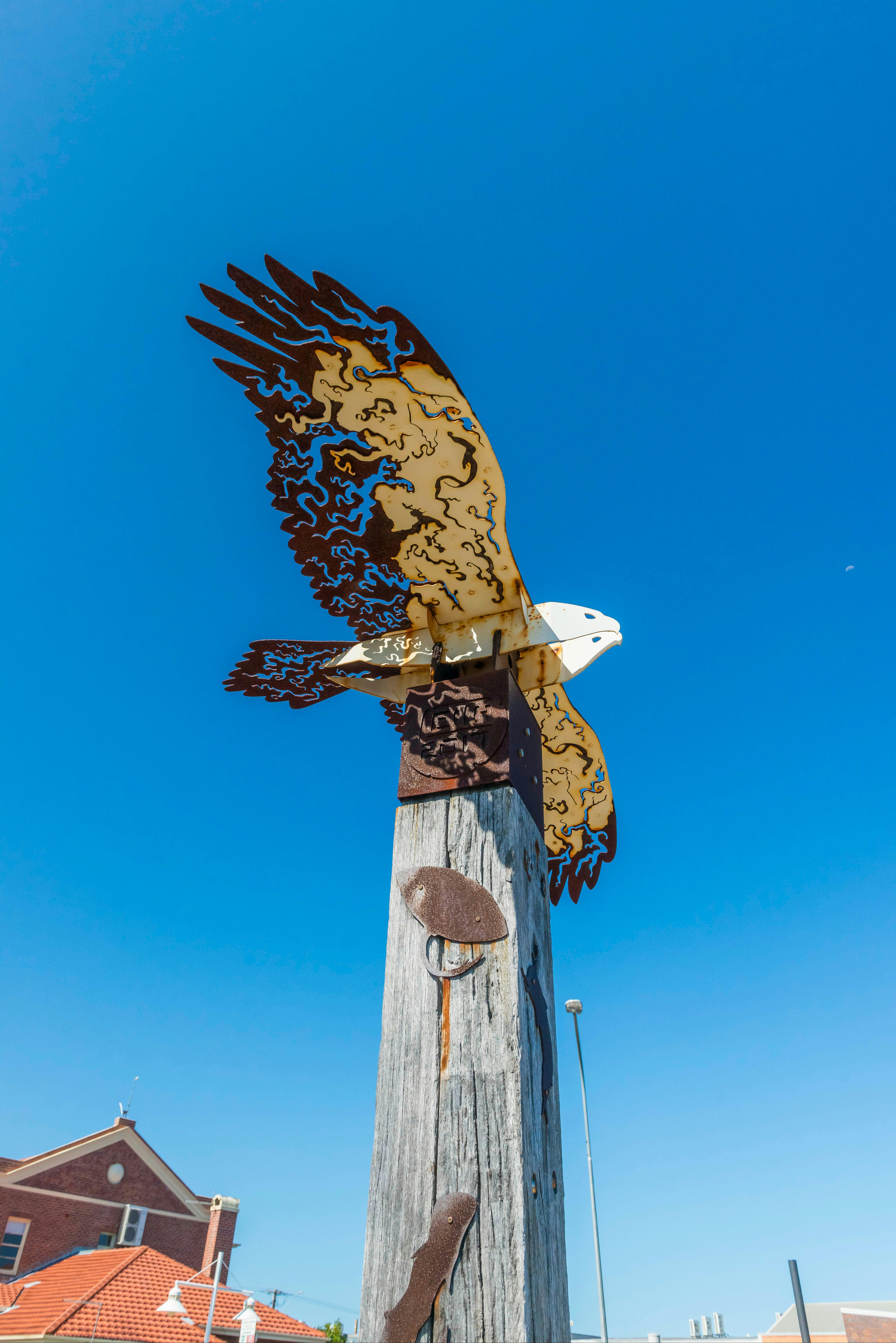 sea eagle made of timber and metal