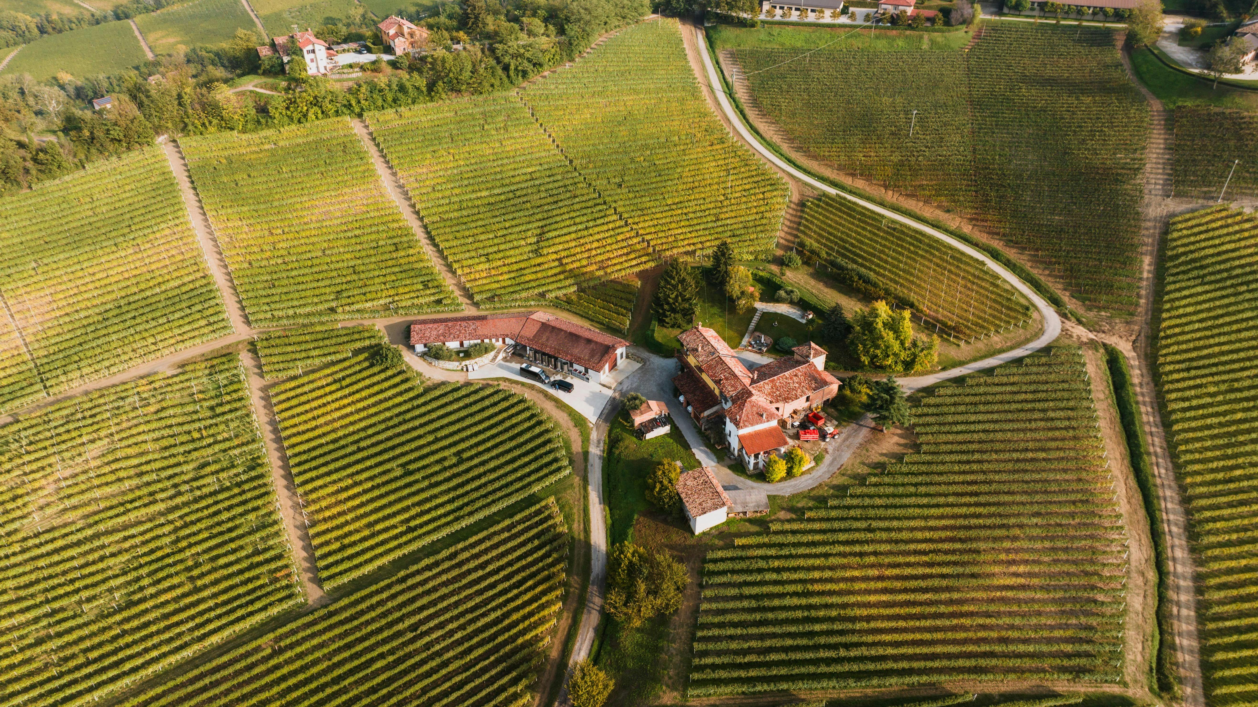 Italian wine landscape