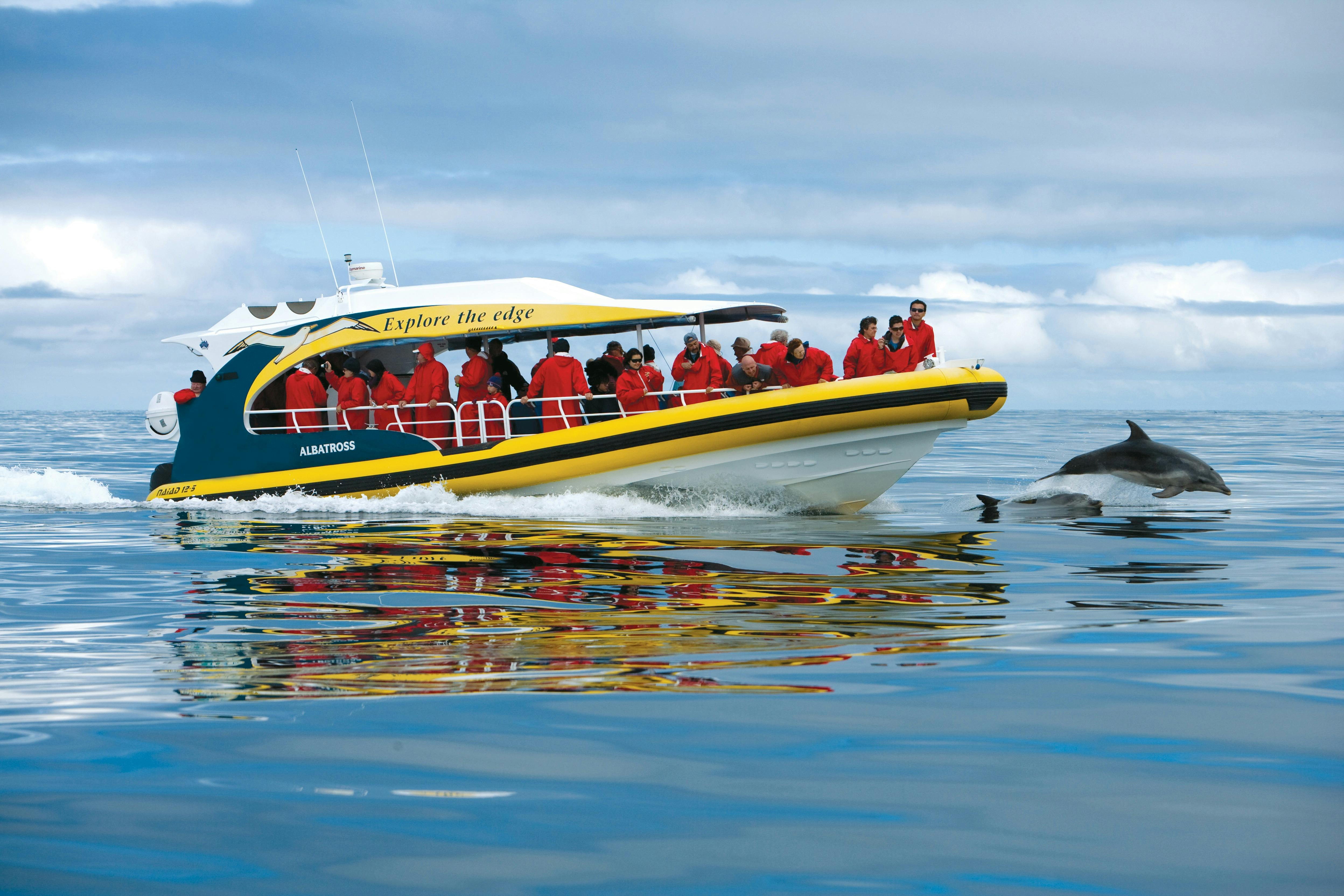 Tasman Island Cruises - Pennicott Wilderness Journeys