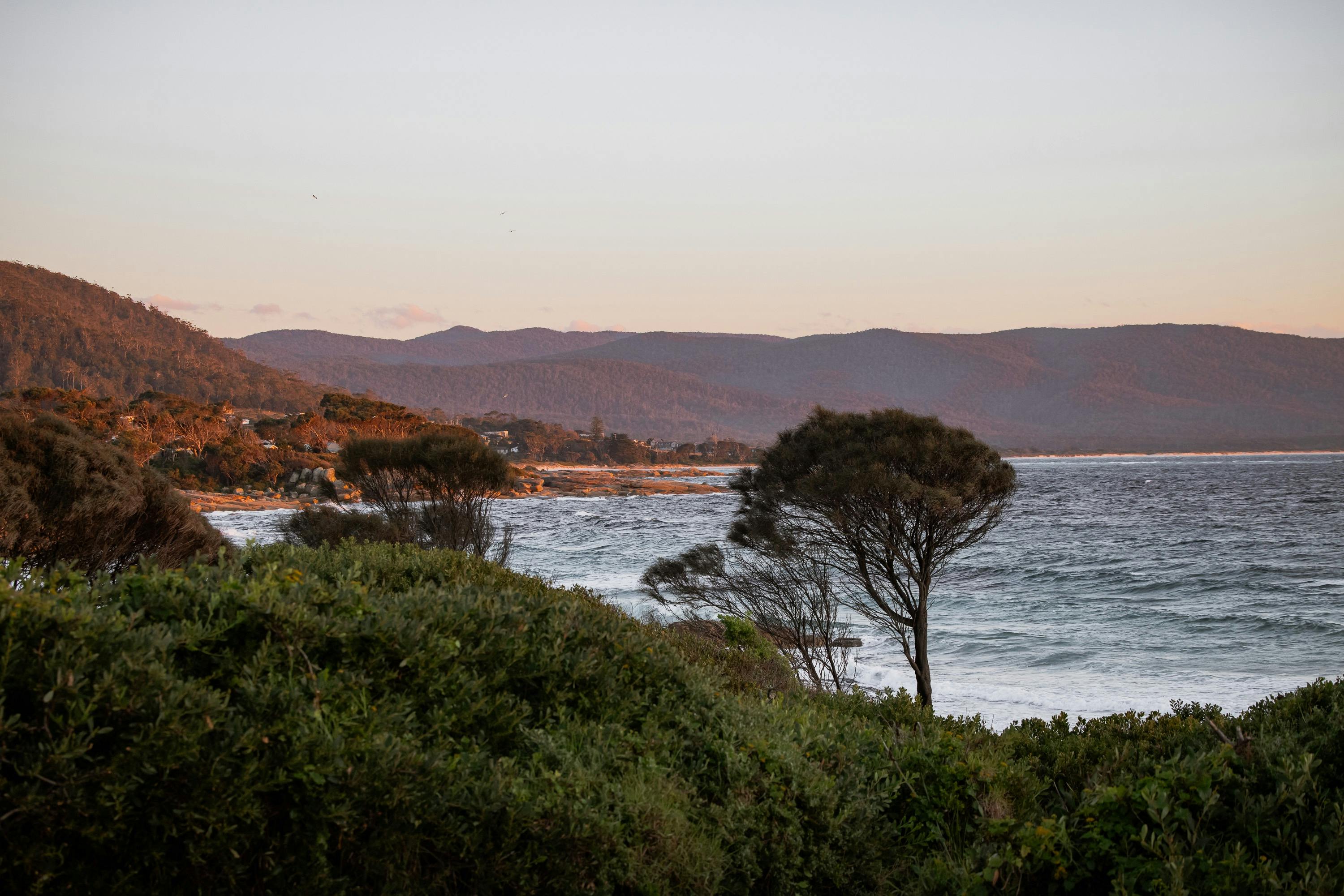 Ocean coastline at Bicheno with rocky cliffs, native vegetation and calm waters near Cooinda On The