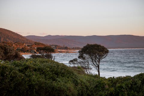 Vines and Caves - Exploring the Valley 33 03d6955bb617db8122562f3cbde5bdce