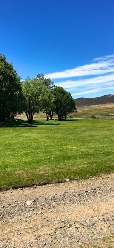 Park Surroundings