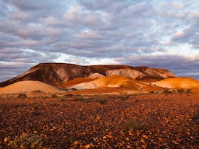 Kanku-Breakaways Conservation Park