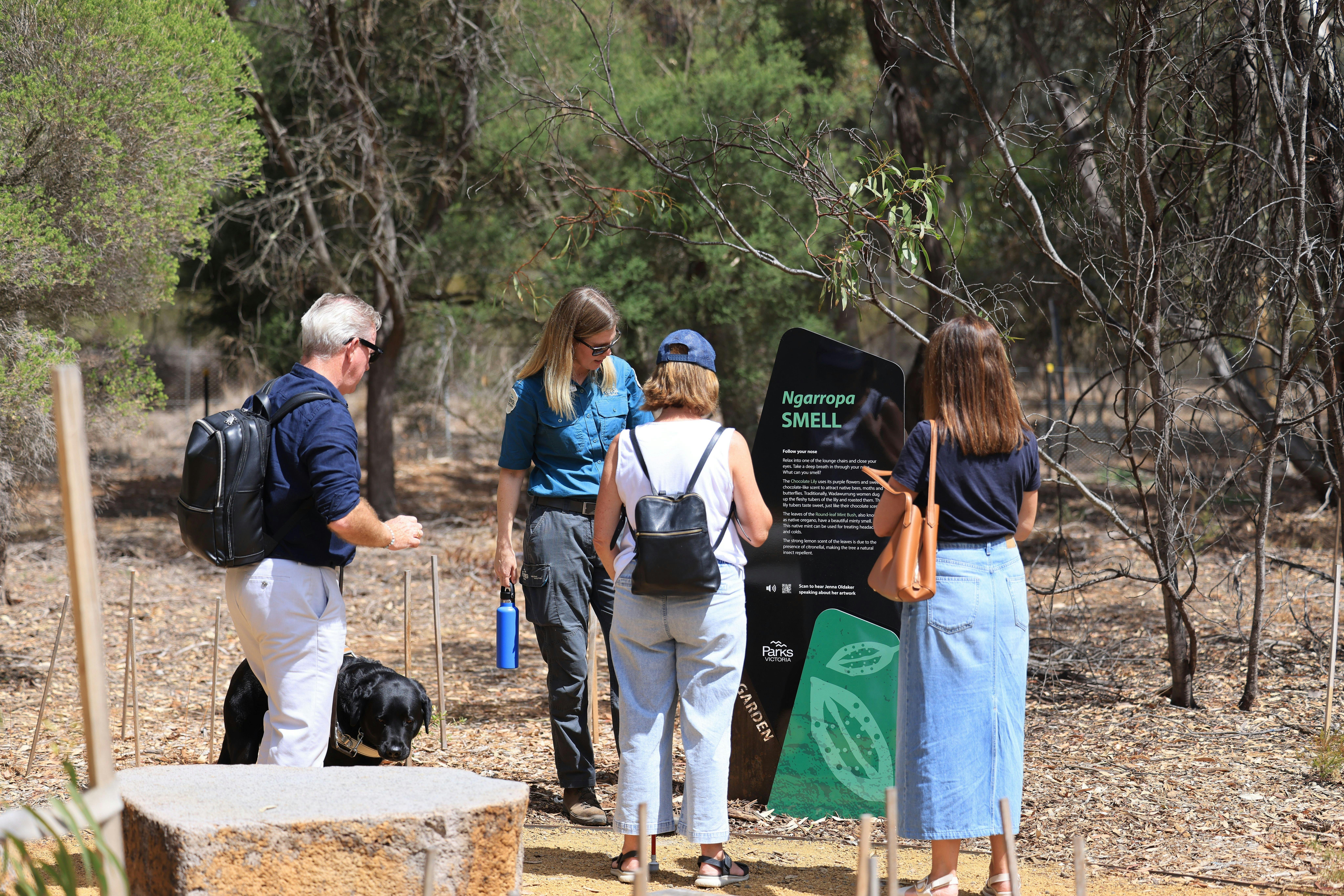 The Sensory Garden