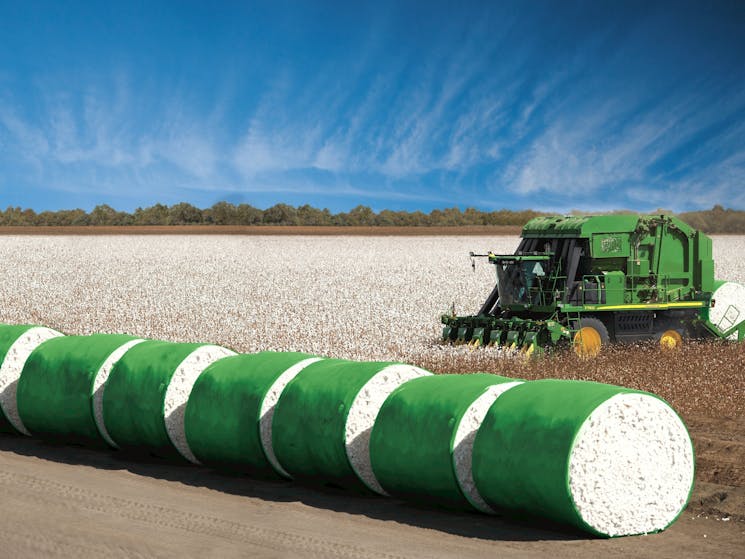 Guided Cotton Farm Tour (seasonal) - Moree | NSW Holidays