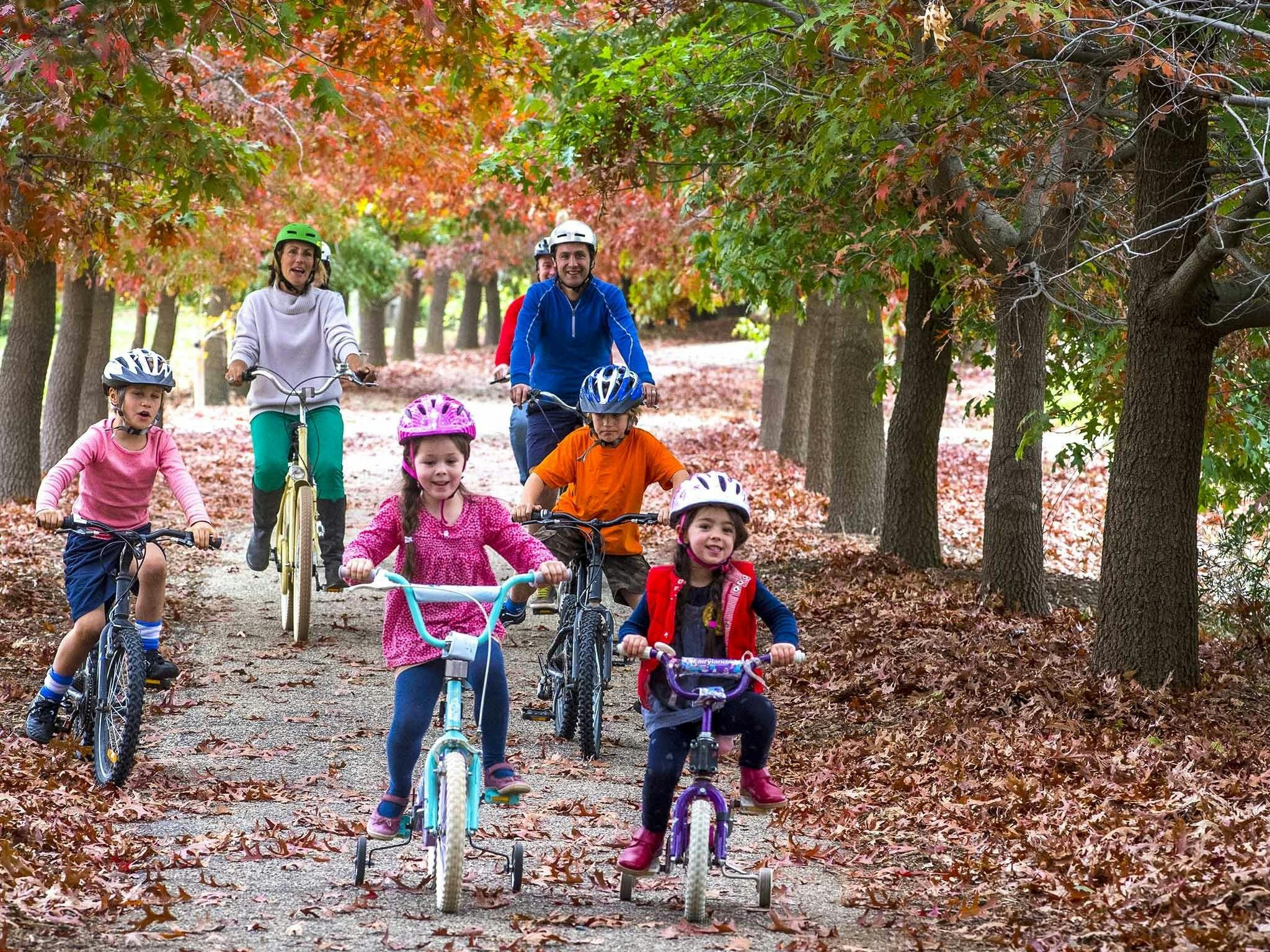 Murray to Mountains Rail Trail