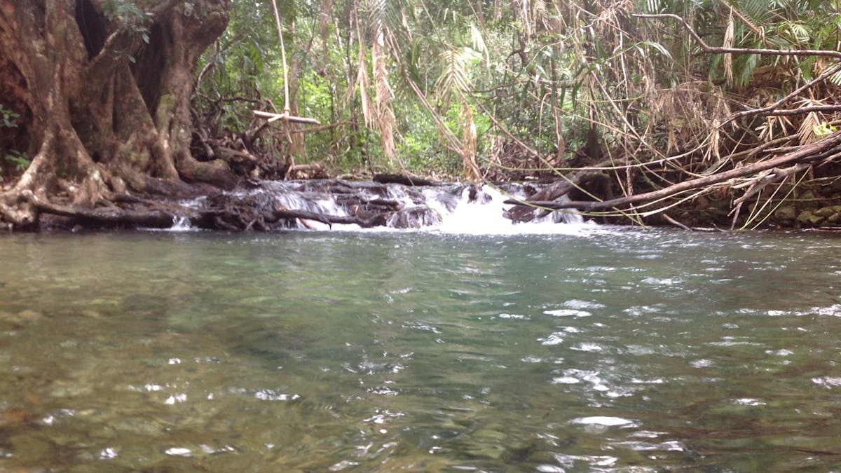 Swimming hole on Hinchinbrook Island