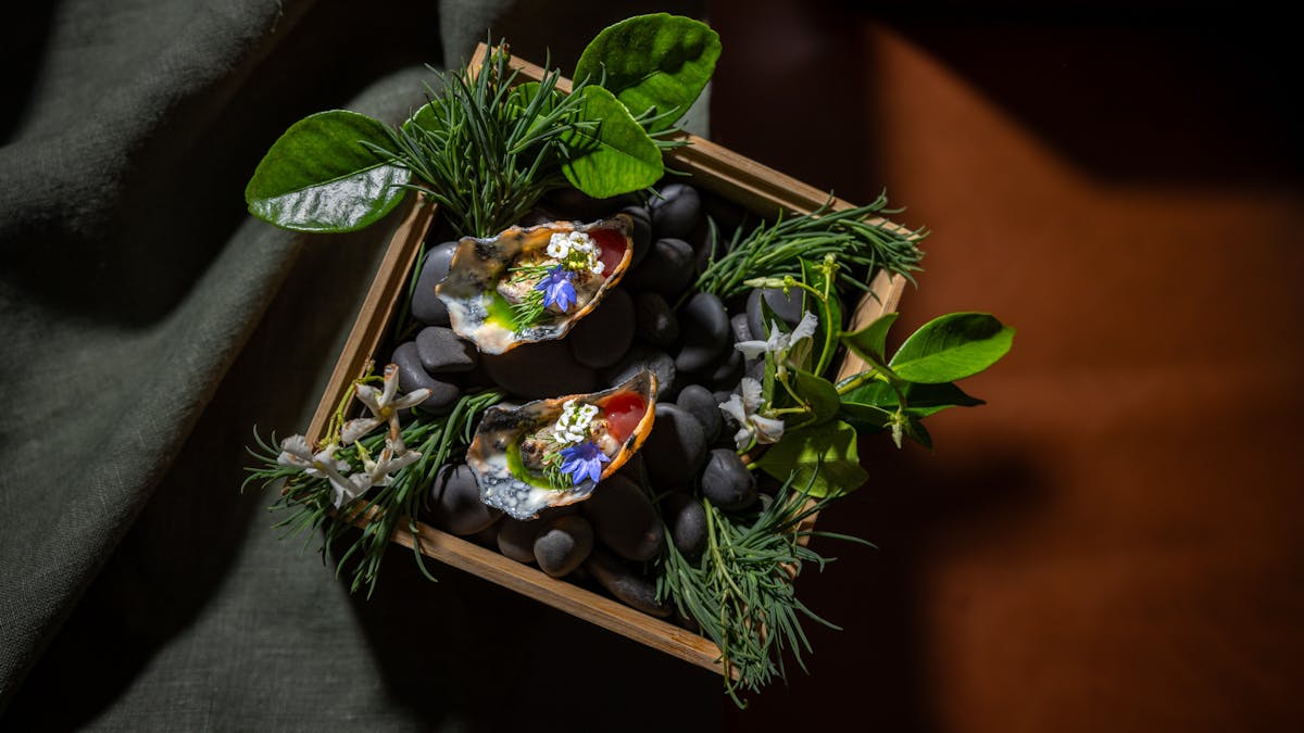 BBQ Oyster, Spring Onion, Blood Orange, White Chocolate