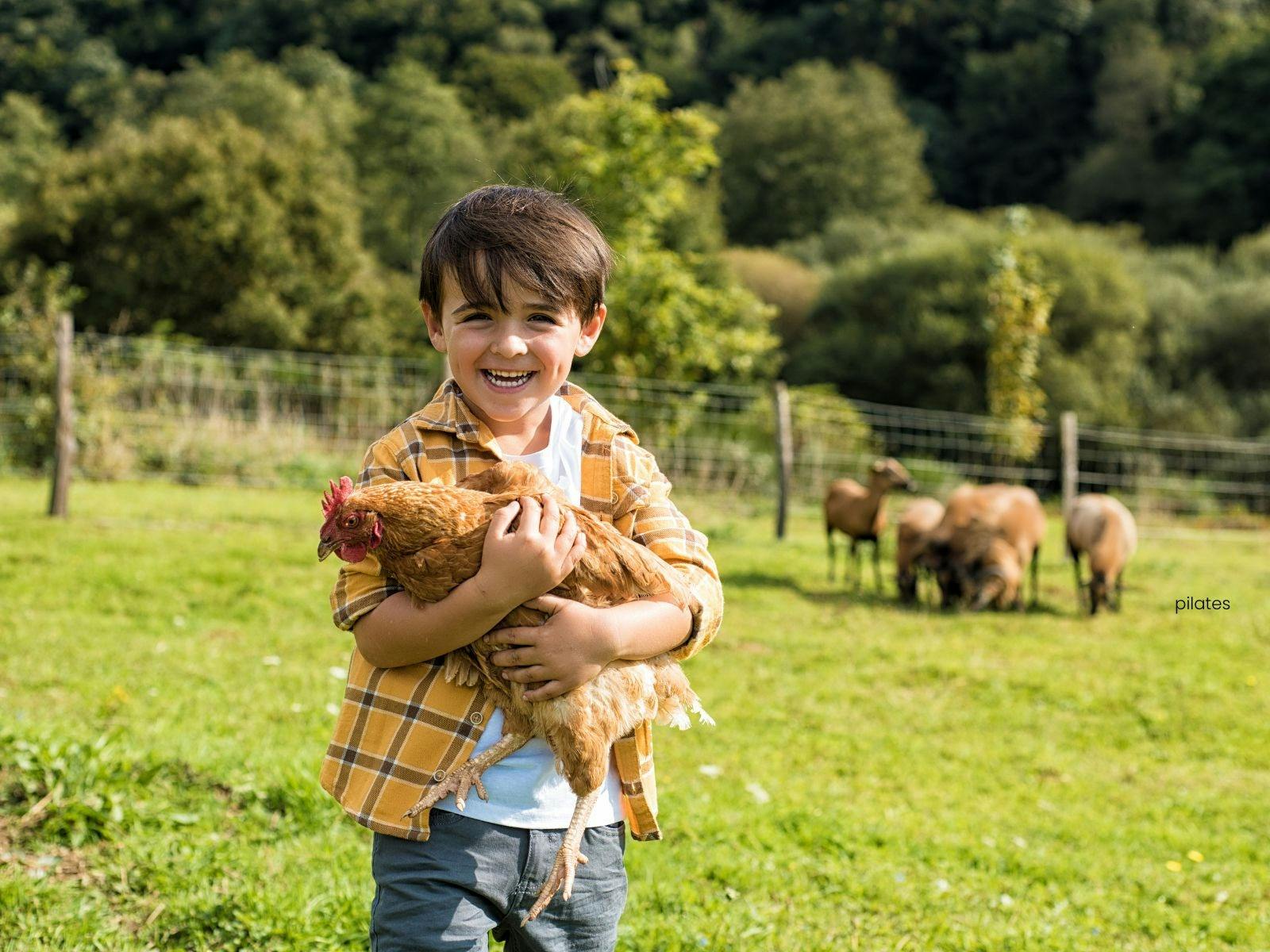 child holding a chicken