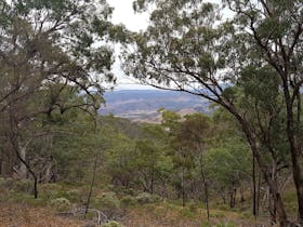 The view from a walking track in Mount Brown Conservation Park