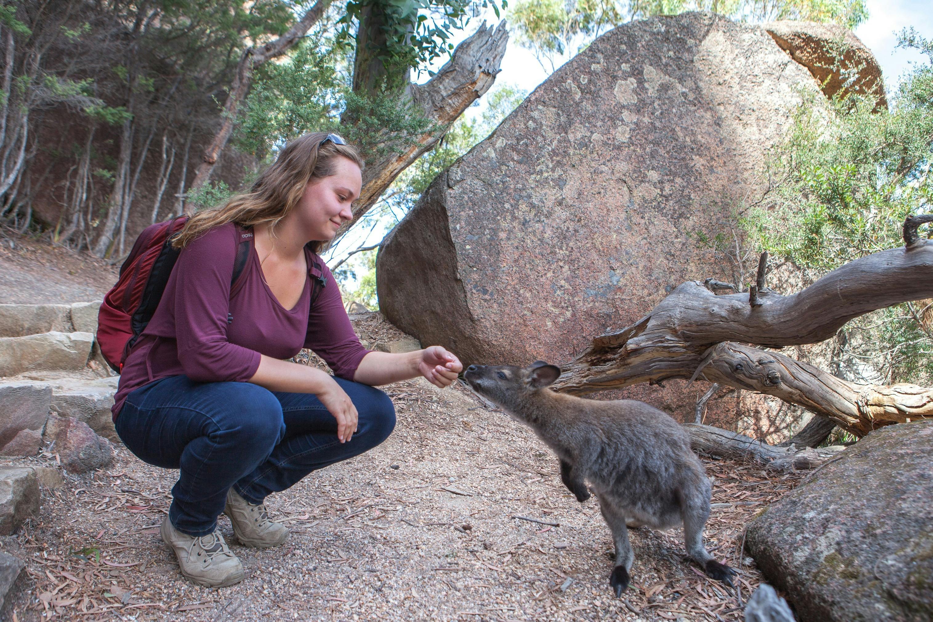 Freycinet National Park