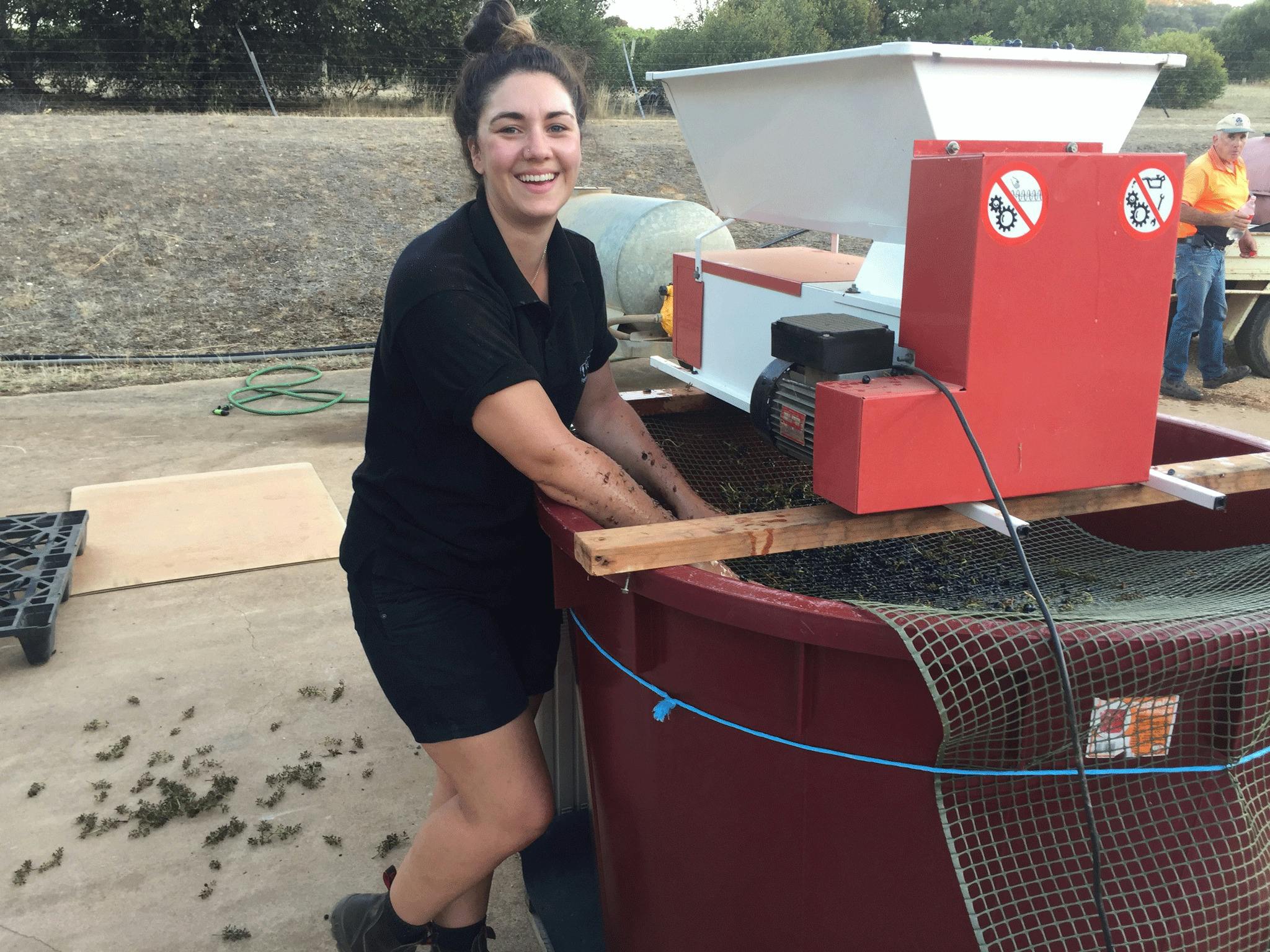 Peerick Vineyard and Winery