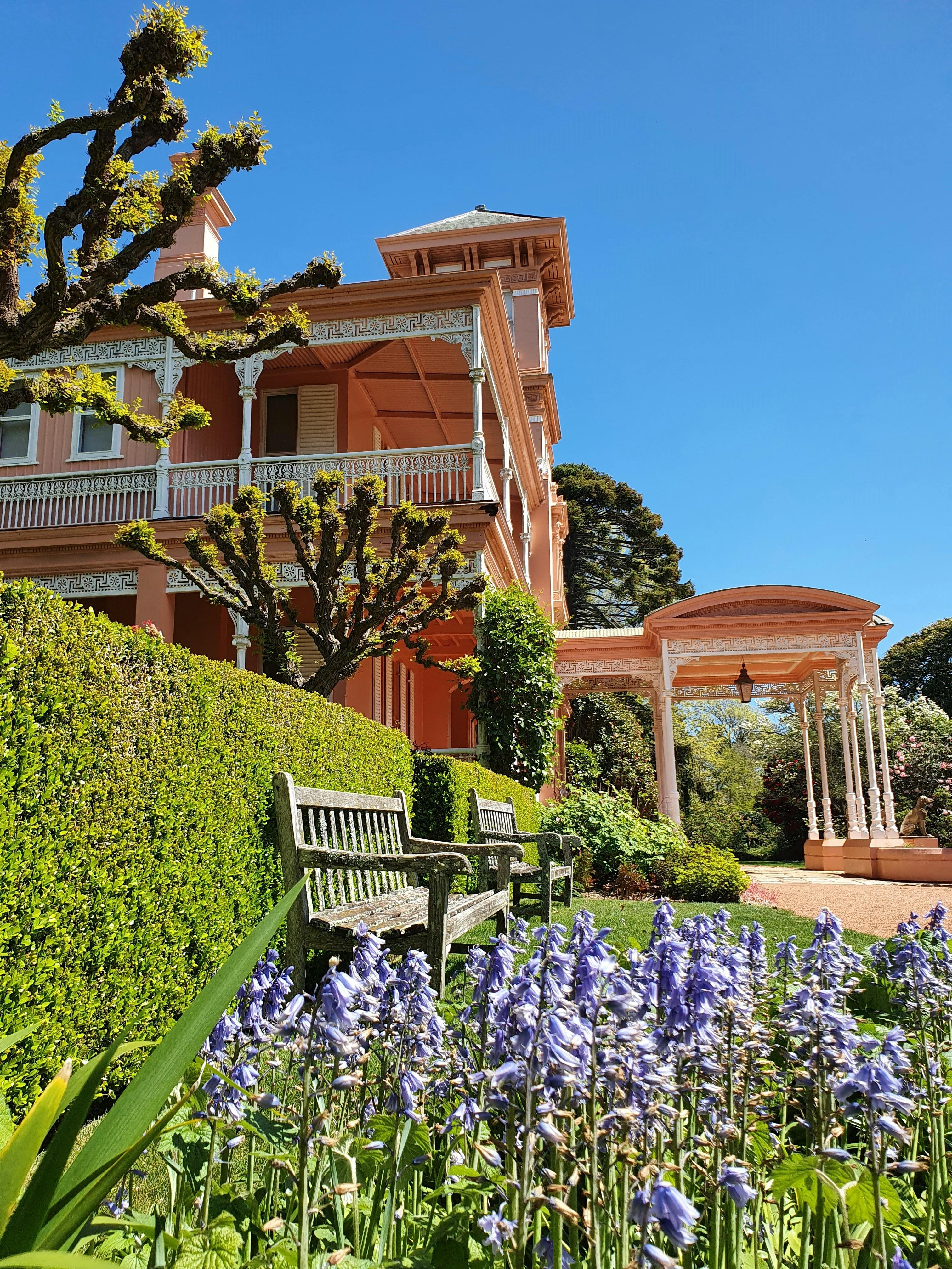 보라색 꽃이 만발한 레트포드 공원의 핑크색 이탈리아풍 저택의 측면 모습