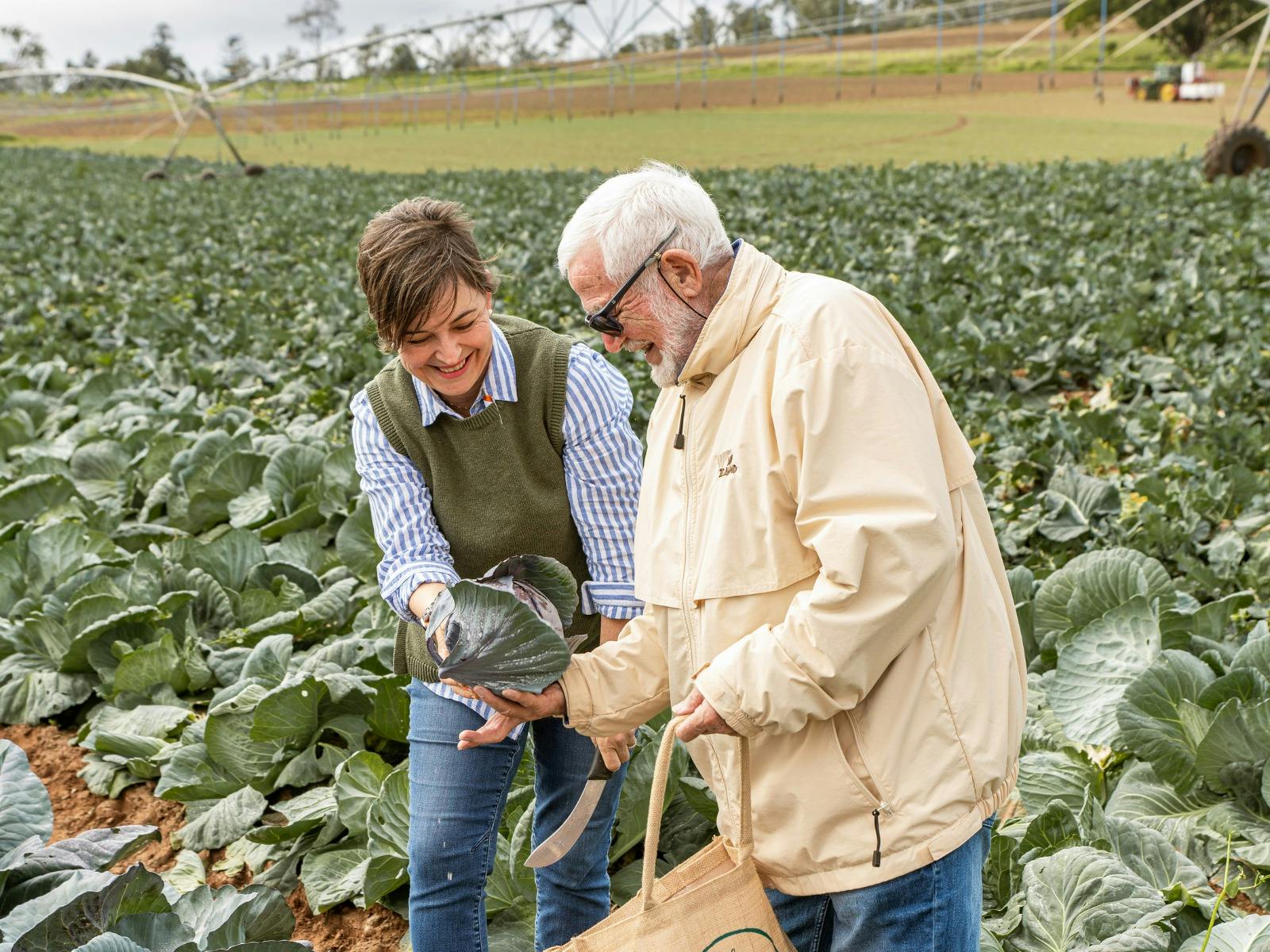 Farmer and guest standing in a field of lettuce, guest grabbing lettuce off farmer to put in a bag