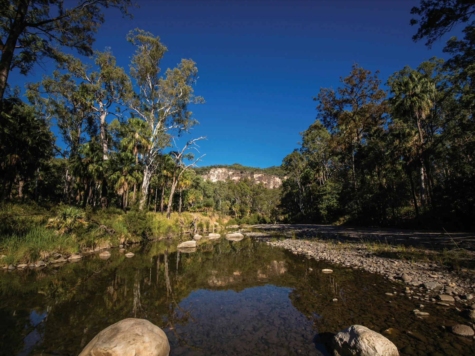 Photo up the gorge with creek in the middle.