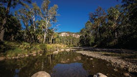 Carnarvon Gorge, Carnarvon National Park