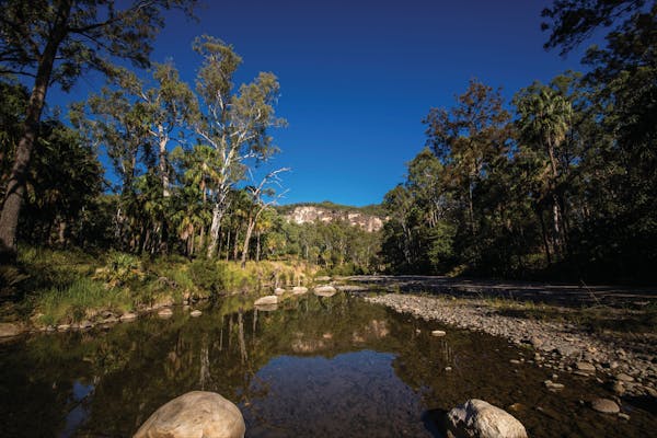 Carnarvon Gorge, Carnarvon National Park