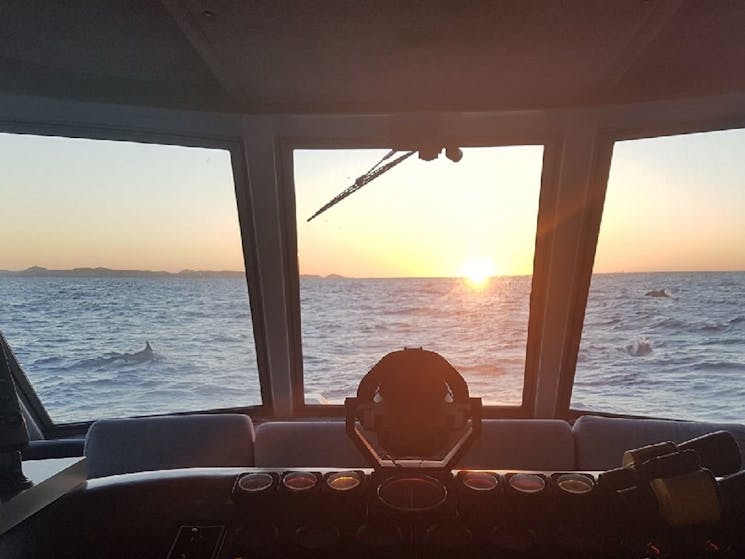 Looking out from the Bridge of the vessel 'The Princess' with dolphins in the backgrounds. Sunset