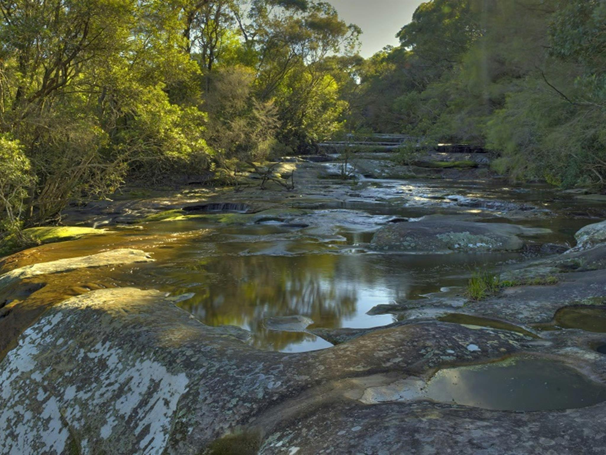 Ein Abschnitt der Somersby Falls im Brisbane Water National Park. Bildnachweis: Stuart Cohen, Bottle Brush Media