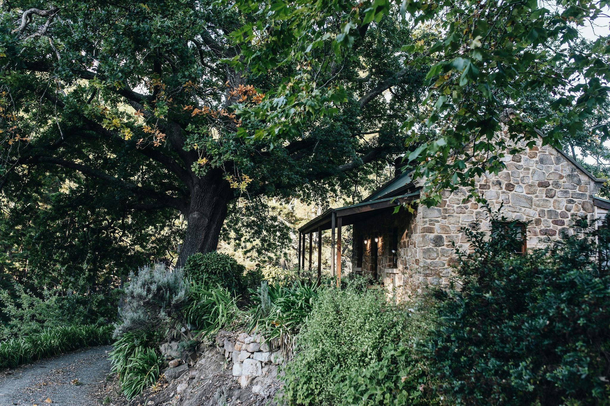 Secluded stone cottage through the 140 year old Royal Oak tree