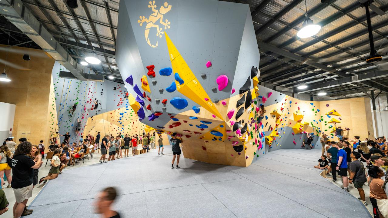 Gecko Climb