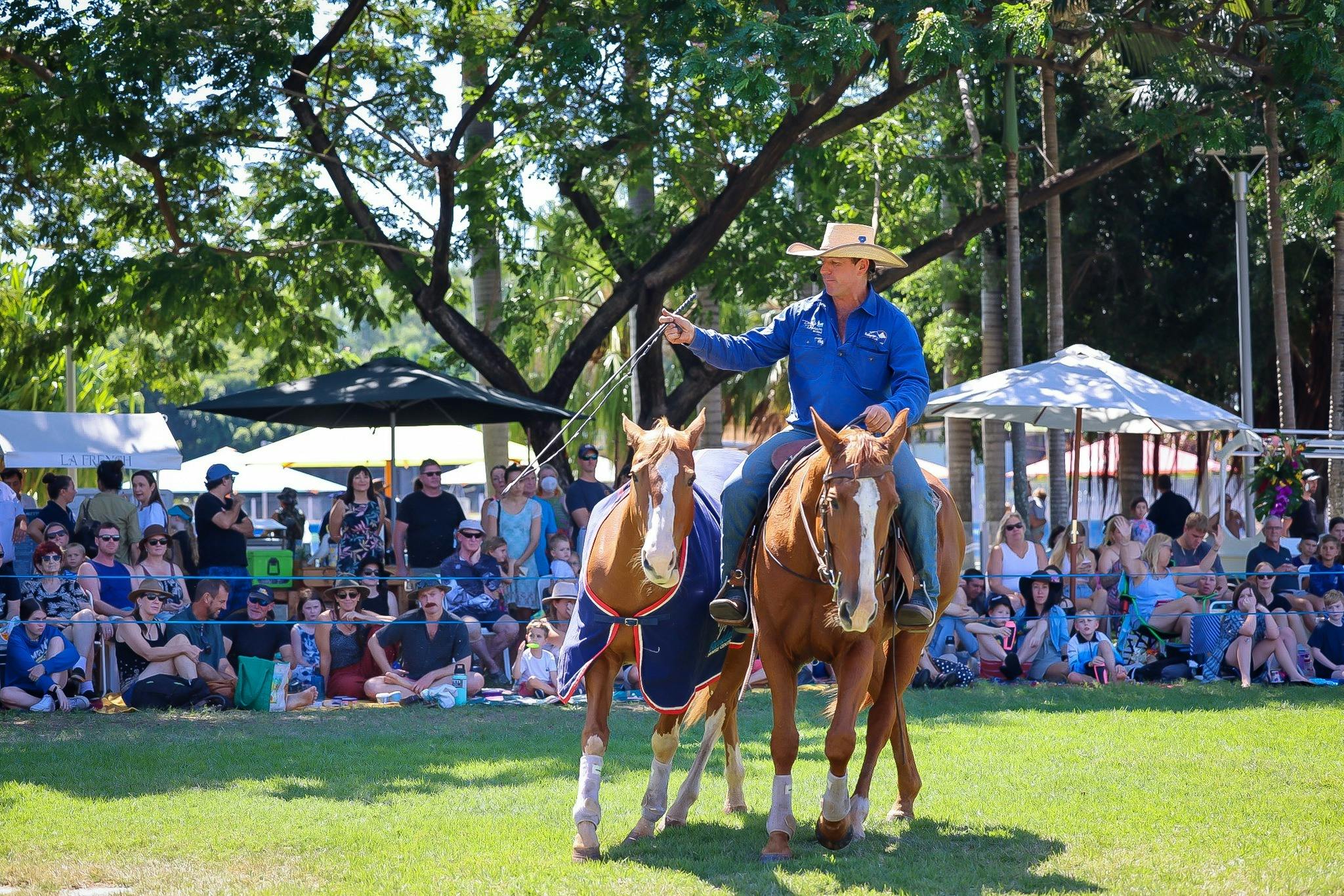 Working with a horse at liberty - meaning no physical constraint