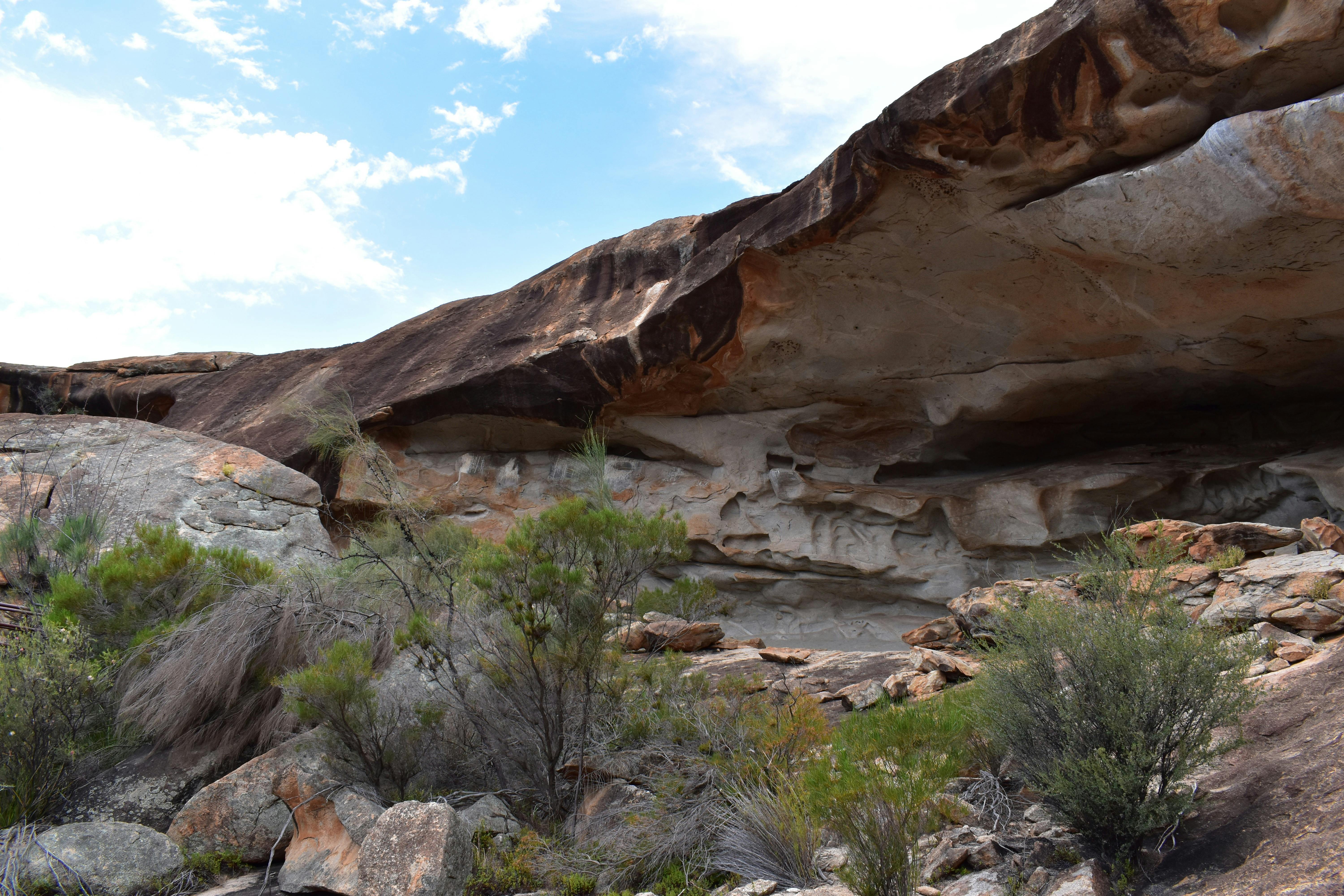 Cave Hill Nature Reserve