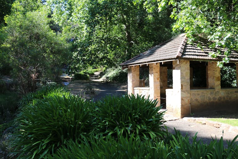 Waterfall Gully to Mount Lofty Hike