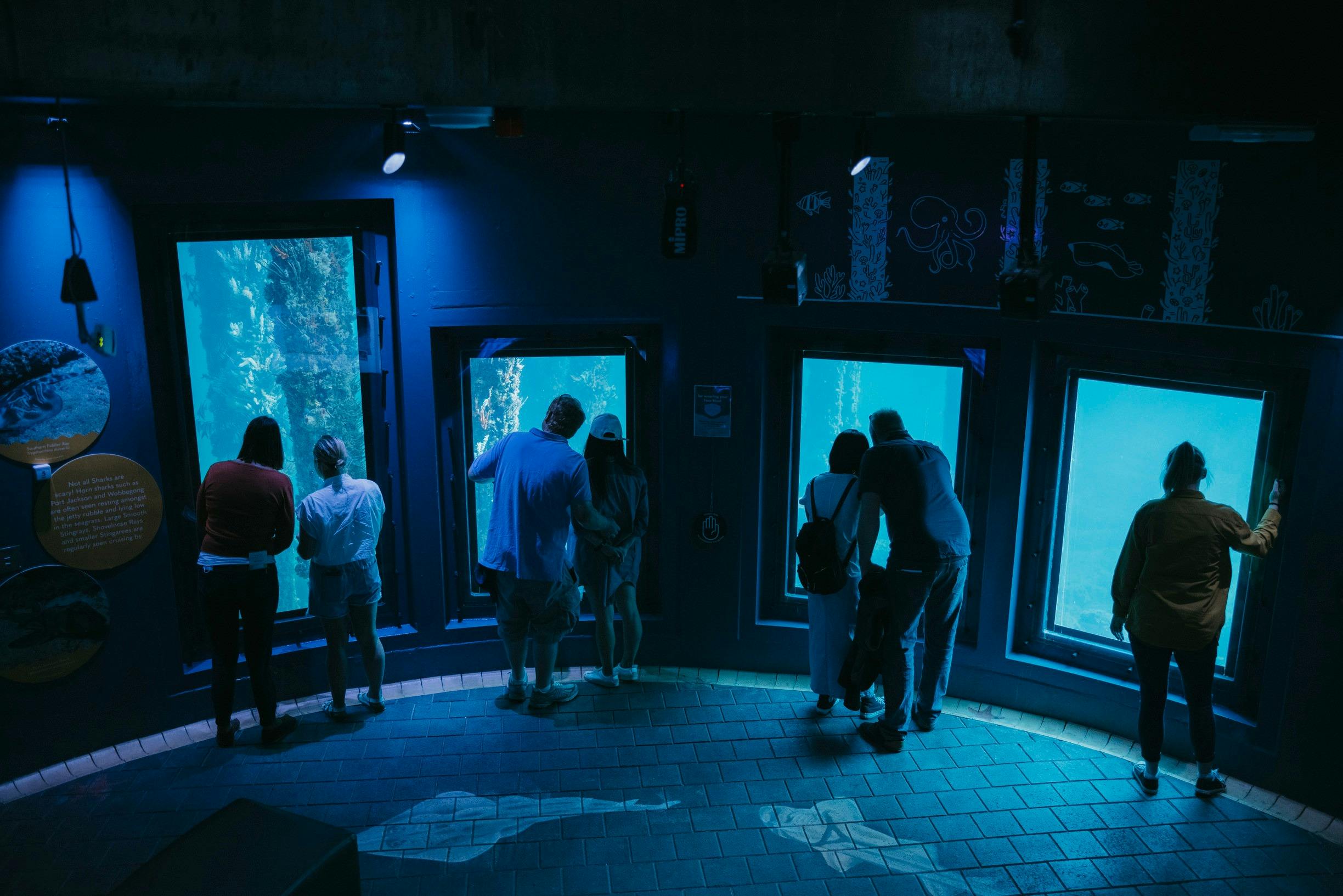 Underwater Observatory, Busselton